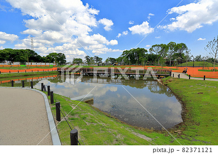 東京　足立区　舎人公園　水鳥の池 82371121