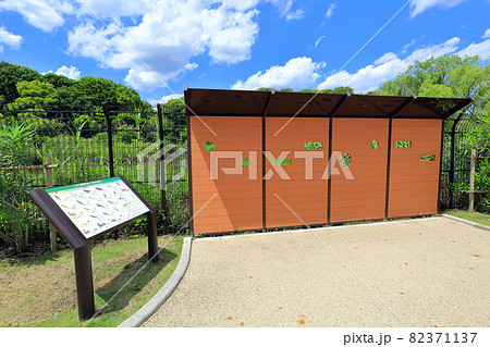 東京 足立区 舎人公園 自然観察広場 東京 足立区 舎人公園 自然観察広場 82371137