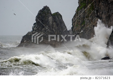 Waves and surf at the rocky Cape Uelen at the entrance to the Bering Strait 82371623