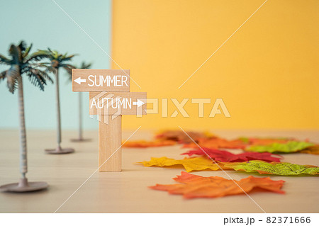 「SUMMER」「AUTUMN」と書かれた積み木と椰子の木のおもちゃ、紅葉 「SUMMER」「AUTUMN」と書かれた積み木と椰子の木のおもちゃ、紅葉 82371666
