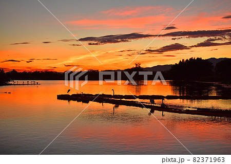 瓢湖の夏 82371963