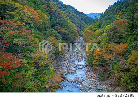 登仙橋からの眺め　三波石峡　秋の風景　紅葉の季節　　 82372399