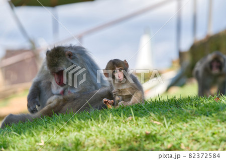 家族団欒のひと時 82372584