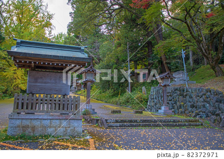 金鑚神社 参道 秋の風景 金鑚神社 参道 秋の風景 82372971