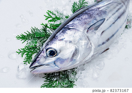 本がつお 82373167