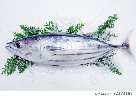 本がつお 82373169