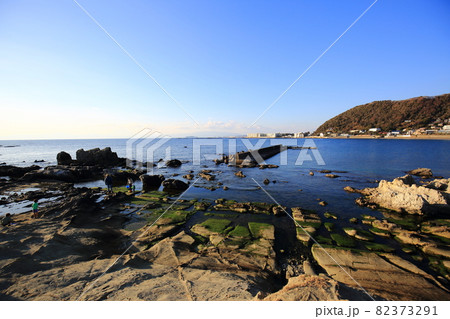 葉山の海岸 葉山の海岸 82373291
