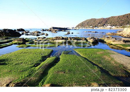 葉山の海岸 葉山の海岸 82373300