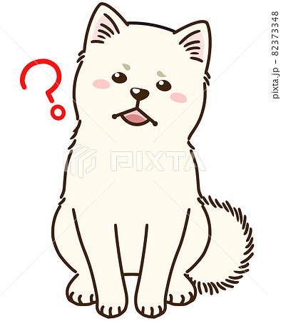 疑問に思う秋田犬 白 のイラスト素材