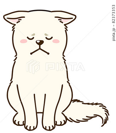 落ち込む秋田犬(白) 落ち込む秋田犬(白) 82373353
