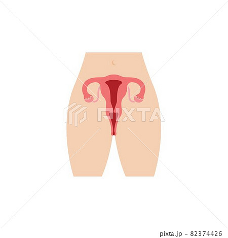female reproduction icon vector illustration design female reproduction icon vector illustration design 82374426