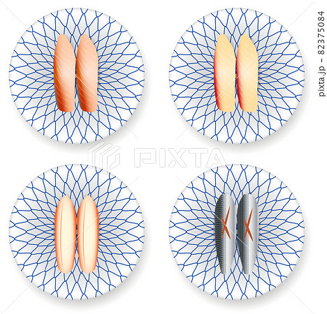 回転寿司の握り鮨（こはだ　カニ　白身魚） 82375084