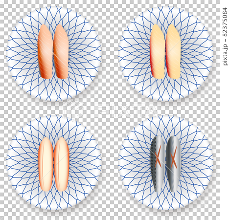 回転寿司の握り鮨（こはだ　カニ　白身魚） 82375084