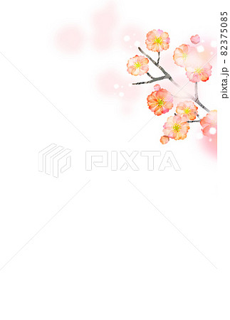 年賀状 寒中見舞い 梅の花のイラスト素材