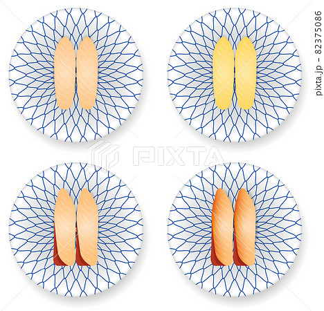 回転寿司の握り鮨 ブリ ハマチ 白身魚 のイラスト素材