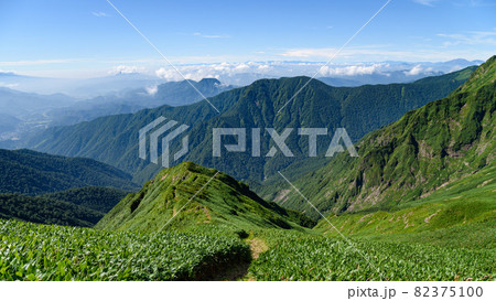谷川連峰の山並みと中ゴー尾根 82375100