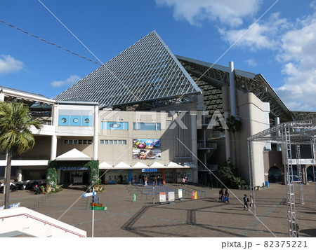 横浜・八景島シーパラダイスのアクアミュージアム 横浜・八景島シーパラダイスのアクアミュージアム 82375221