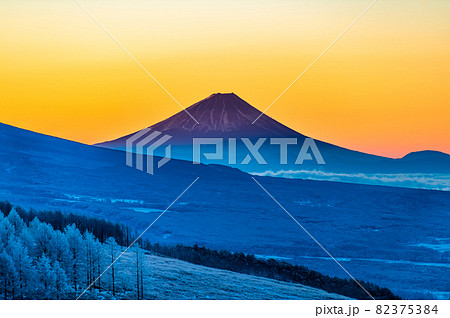 長野県 霧ヶ峰　早朝の冬景色 82375384