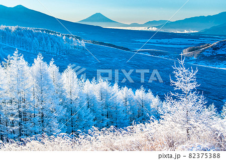長野県 霧ヶ峰　早朝の冬景色 82375388