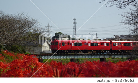 彼岸花と西蒲線 82376662