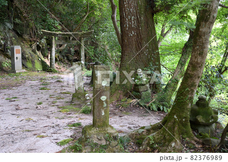 八女津媛神社と鳥居 82376989