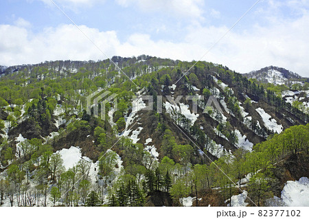 山形県月山道路沿いの初夏の山並み 82377102