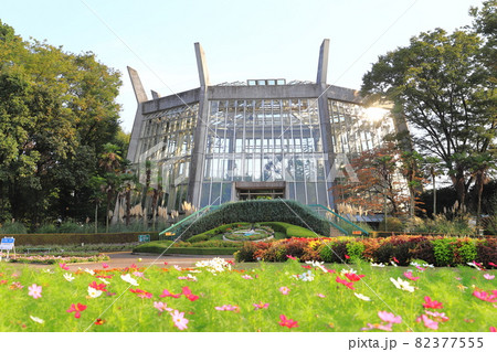 川口市立グリーンセンター　花壇広場と大温室　埼玉県川口市 82377555