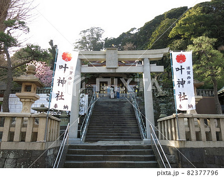 横須賀市西浦賀の叶神社（西叶神社） 82377796