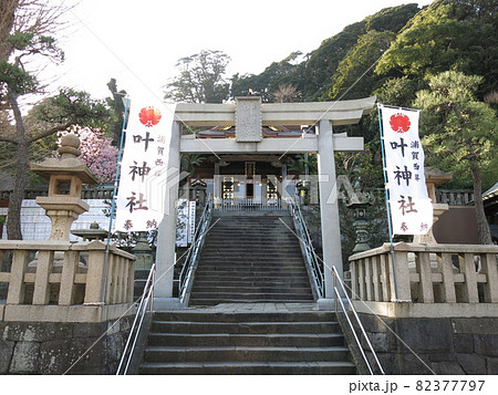 横須賀市西浦賀の叶神社（西叶神社） 82377797