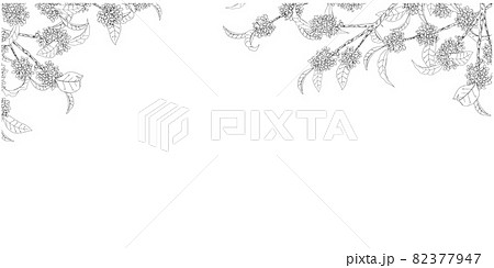 金木犀の線画フレーム①(黒,横,上部) 82377947
