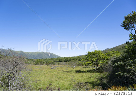 快晴の沼ッ原湿原の風景（栃木県那須塩原市） 82378512