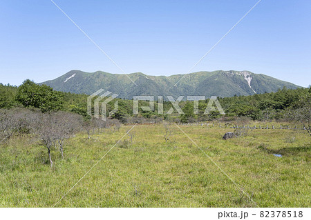 快晴の沼ッ原湿原の風景(栃木県那須塩原市) 快晴の沼ッ原湿原の風景(栃木県那須塩原市) 82378518