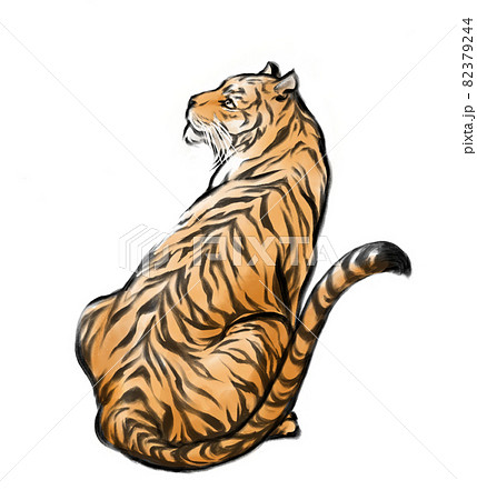 水彩手描き風で見上げる虎の後ろ姿のイラスト素材