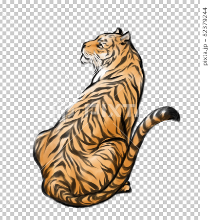 水彩手描き風で見上げる虎の後ろ姿のイラスト素材