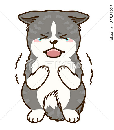 怯える秋田犬(虎毛) 怯える秋田犬(虎毛) 82381028