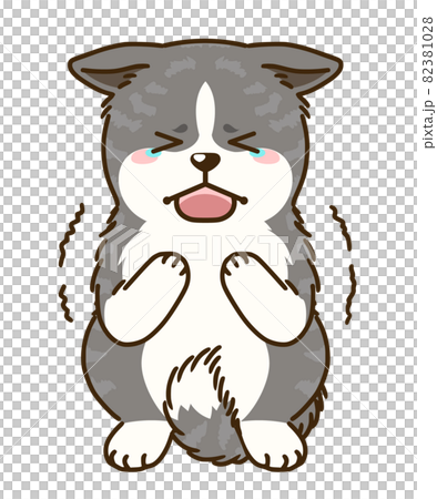 怯える秋田犬(虎毛) 怯える秋田犬(虎毛) 82381028