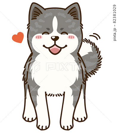 懐く秋田犬（虎毛） 82381029