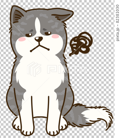 目を逸らす秋田犬（虎毛） 82381030