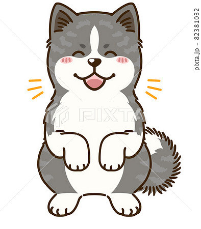 喜ぶ秋田犬（虎毛） 82381032