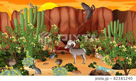 Desert forest landscape at sunset time scene with wild animals Desert forest landscape at sunset time scene with wild animals 82381240