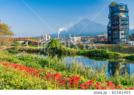 （静岡県）富士市の工場地帯に咲くヒガンバナと富士山 82381405