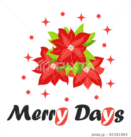 Bouquet of traditional Christmas poinsettia flower with green leaves and red petals. Cute winter poster, christmas card, banner, sticker 82381963