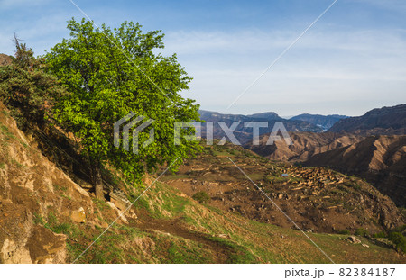 A green tree on the slope. Old village in the gorge, high mountains in the background. A green tree on the slope. Old village in the gorge, high mountains in the background. 82384187