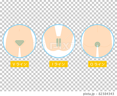 ボディパーツ　VIO　脱毛箇所　ベクターイラスト　女性 82384343