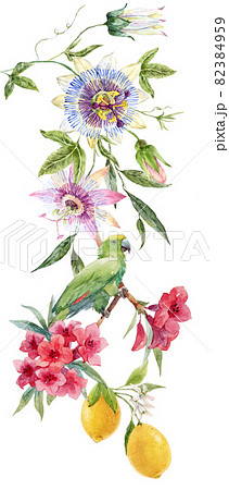 Beautiful tropical floral composition with hand drawn watercolor exotic jungle flowers. Stock illustration. Clip art. Beautiful tropical floral composition with hand drawn watercolor exotic jungle flowers. Stock illustration. Clip art. 82384959