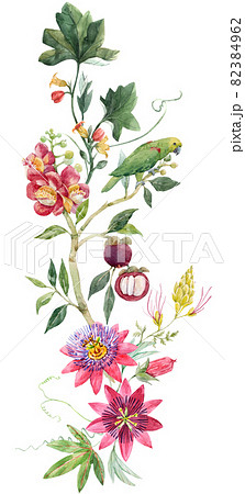 Beautiful tropical floral composition with hand drawn watercolor exotic jungle flowers. Stock illustration. Clip art. 82384962