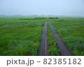 尾瀬の景色です。 82385182