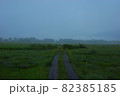 尾瀬の景色です。 82385185