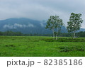 尾瀬の景色です。 82385186