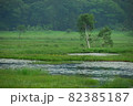 尾瀬の景色です。 82385187